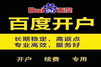 某企业通过百度竞价广告实现快速获客的实践